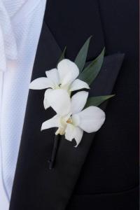 White Orchid Boutonniere – BOOL'S FLOWER SHOP, Ithaca NY