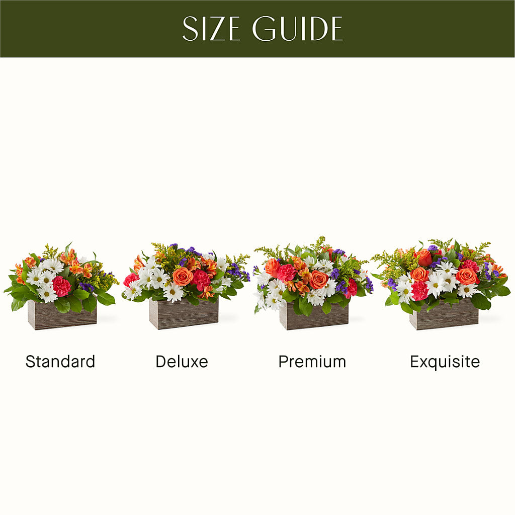 Oopsie Daisy Box Bouquet – BOOL'S FLOWER SHOP, Ithaca NY