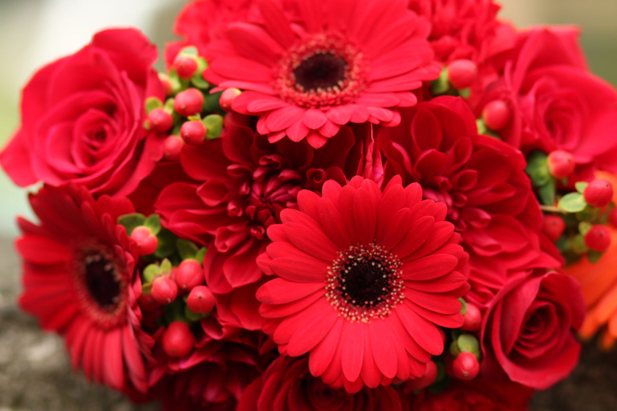 Reds- Florist Designed Presentation Bouquet – BOOL'S FLOWER SHOP, Ithaca NY
