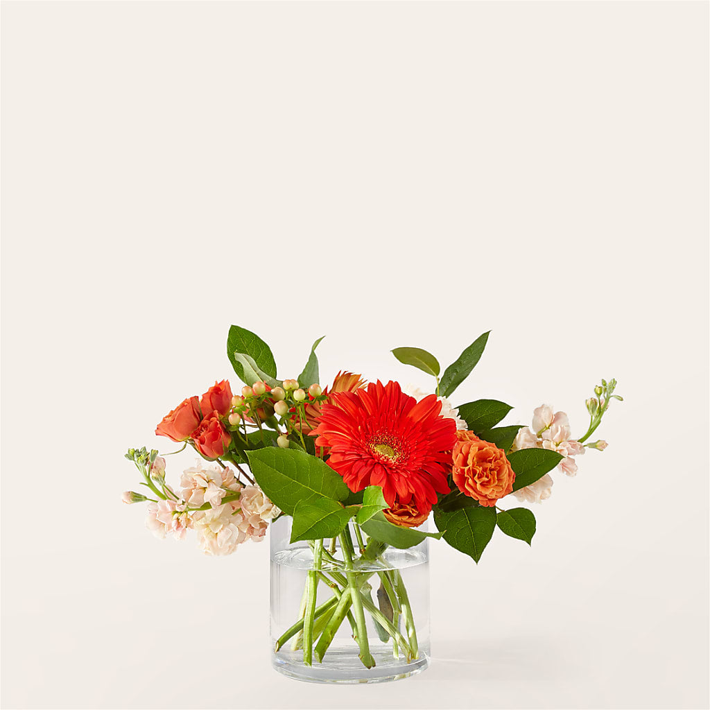Paloma Please Bouquet – BOOL'S FLOWER SHOP, Ithaca NY