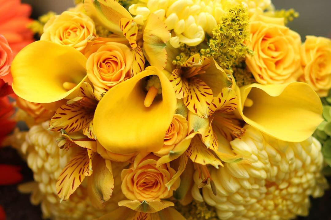 Yellows- Florist Designed Presentation Bouquet – BOOL'S FLOWER SHOP, Ithaca NY