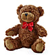Adorable Plush Bear – BOOL'S FLOWER SHOP, Ithaca NY