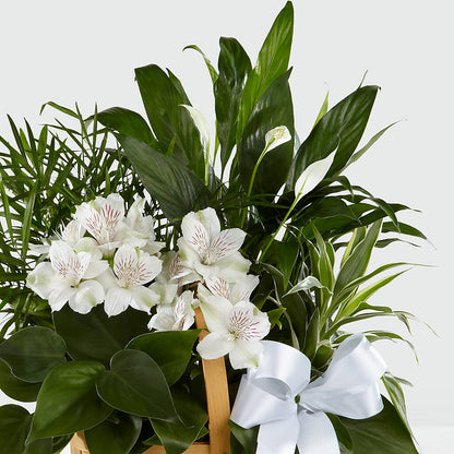 Peace & Serenity Dishgarden – BOOL'S FLOWER SHOP, Ithaca NY