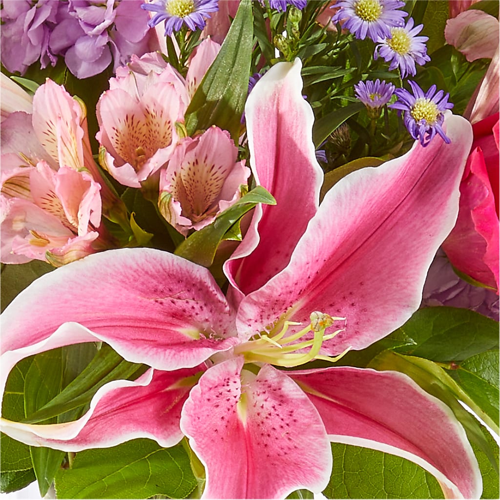 Written in the Stars Bouquet – BOOL'S FLOWER SHOP, Ithaca NY