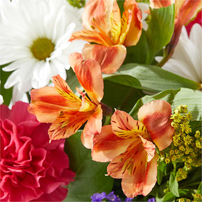 Oopsie Daisy Box Bouquet – BOOL'S FLOWER SHOP, Ithaca NY