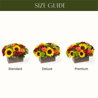 Happy Harvest Garden – BOOL'S FLOWER SHOP, Ithaca NY