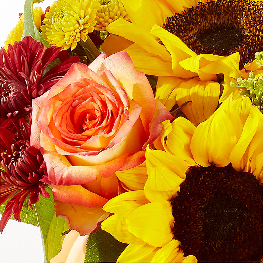 Golden Gourd Pumpkin Bouquet – BOOL'S FLOWER SHOP, Ithaca NY