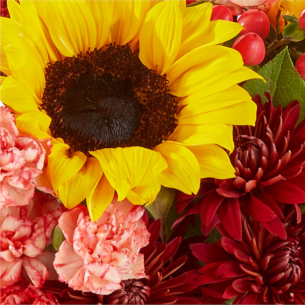 Fresh Cider Bouquet – BOOL'S FLOWER SHOP, Ithaca NY