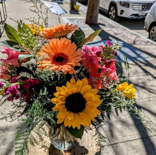 Pet Friendly- Designer's Selection