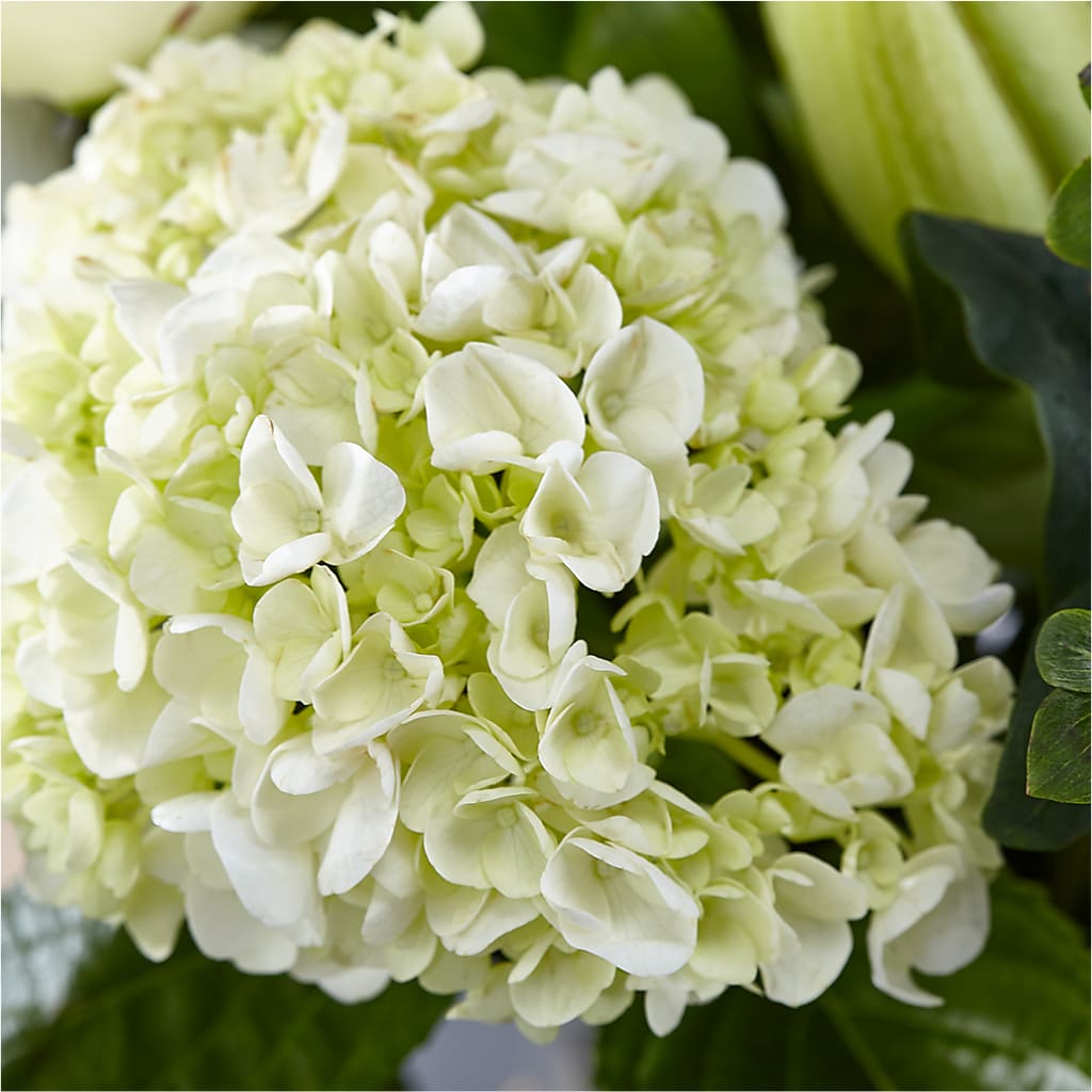 Classic Ivory – A Florist Original – BOOL'S FLOWER SHOP, Ithaca NY