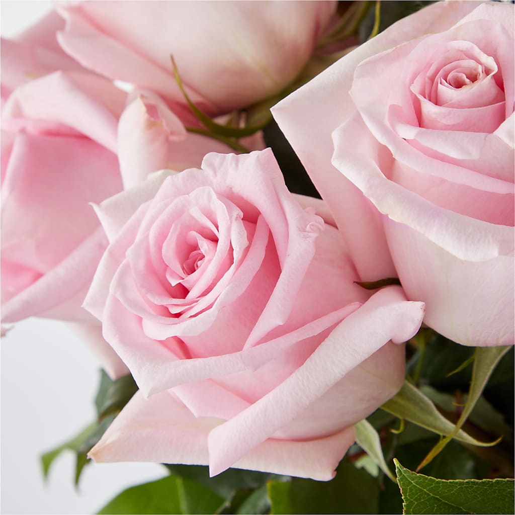 Picture Perfect Pink Rose Bouquet – BOOL'S FLOWER SHOP, Ithaca NY