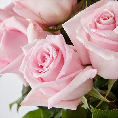 Picture Perfect Pink Rose Bouquet – BOOL'S FLOWER SHOP, Ithaca NY