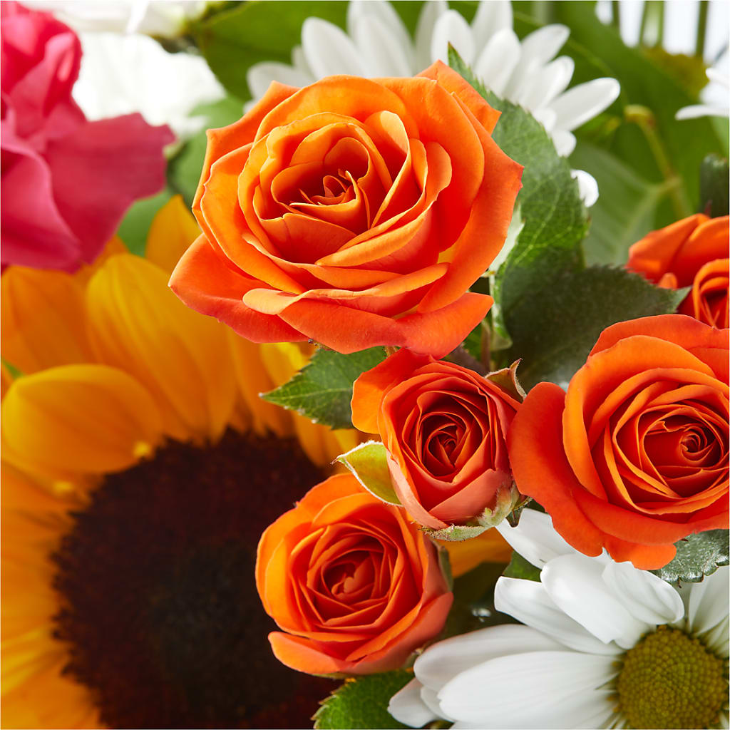 Sun-drenched Blooms Bouquet – BOOL'S FLOWER SHOP, Ithaca NY