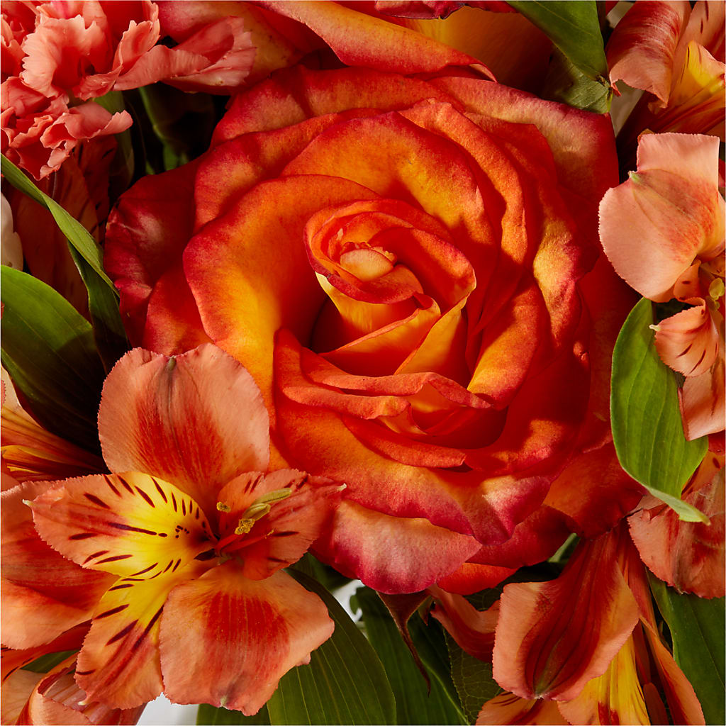 Apricot Glow Bouquet – BOOL'S FLOWER SHOP, Ithaca NY