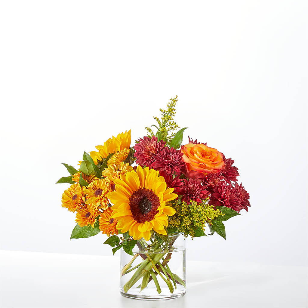 Flannel Scarf Bouquet – BOOL'S FLOWER SHOP, Ithaca NY