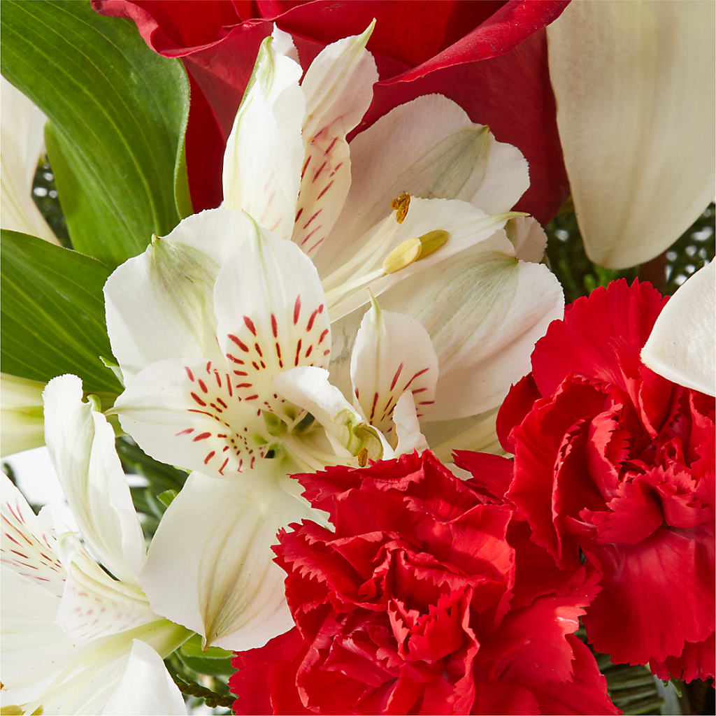 Holiday Season Bouquet – BOOL'S FLOWER SHOP, Ithaca NY