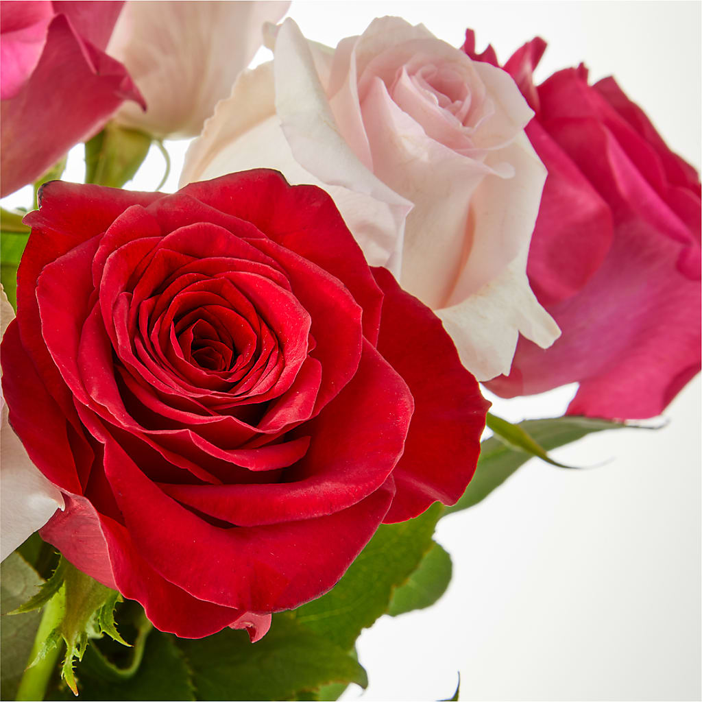 Charming Rose Bouquet – BOOL'S FLOWER SHOP, Ithaca NY