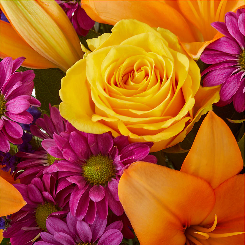 Colorful Visions Bouquet – BOOL'S FLOWER SHOP, Ithaca NY