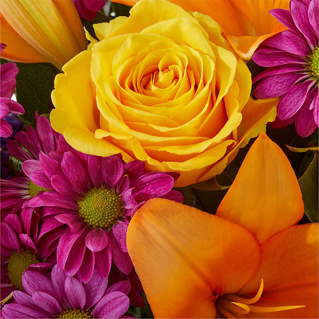 Colorful Visions Bouquet – BOOL'S FLOWER SHOP, Ithaca NY
