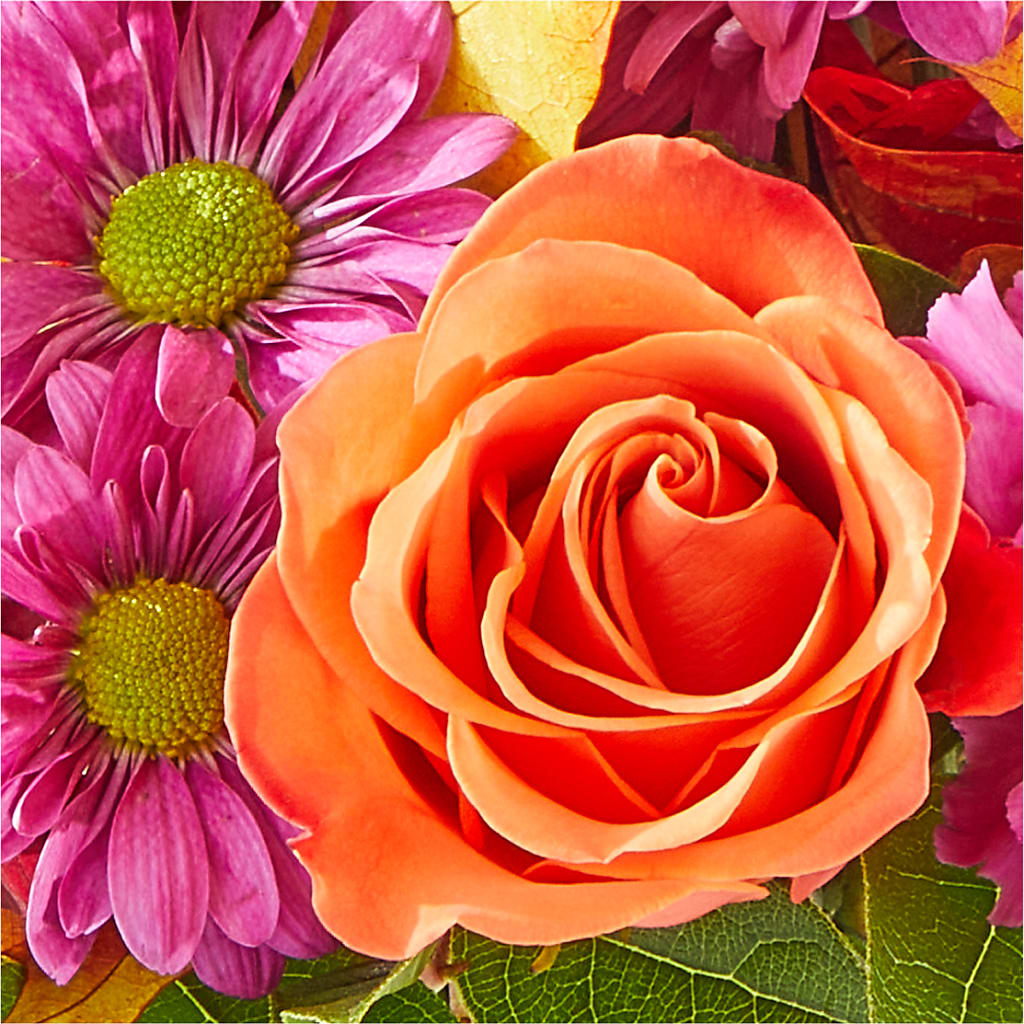 Mum's the Word Bouquet – BOOL'S FLOWER SHOP, Ithaca NY