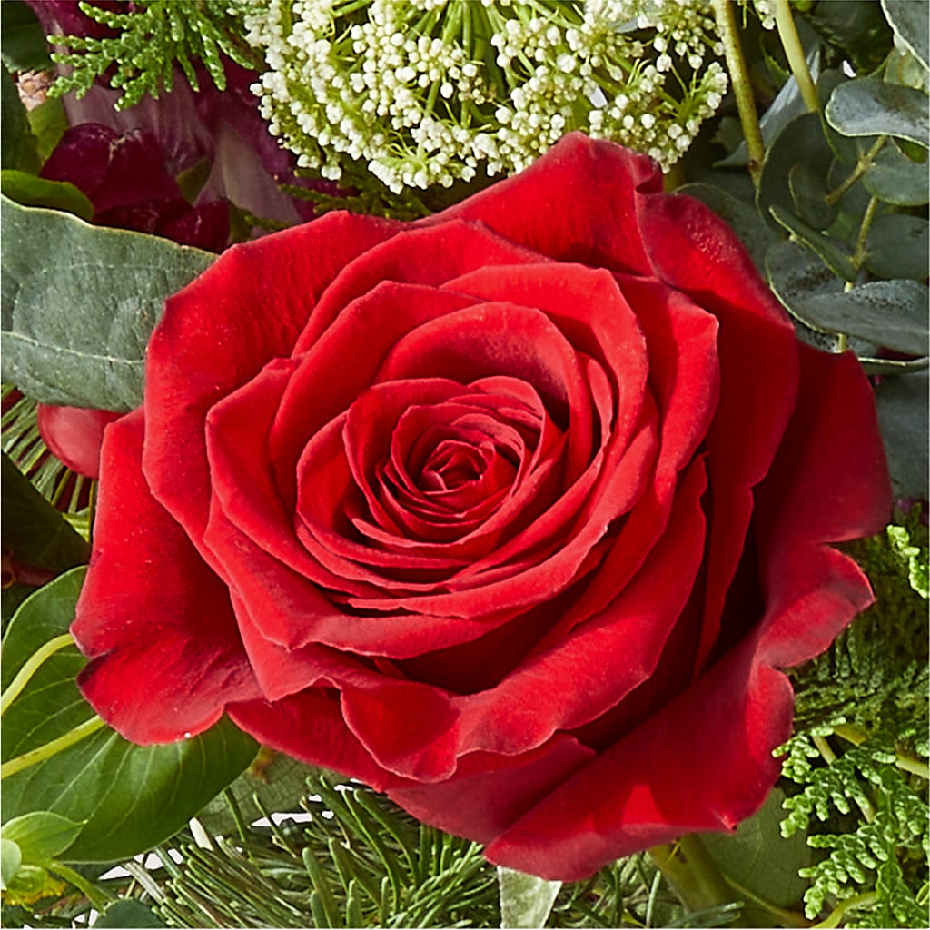 Cranberry Fizz Bouquet – BOOL'S FLOWER SHOP, Ithaca NY