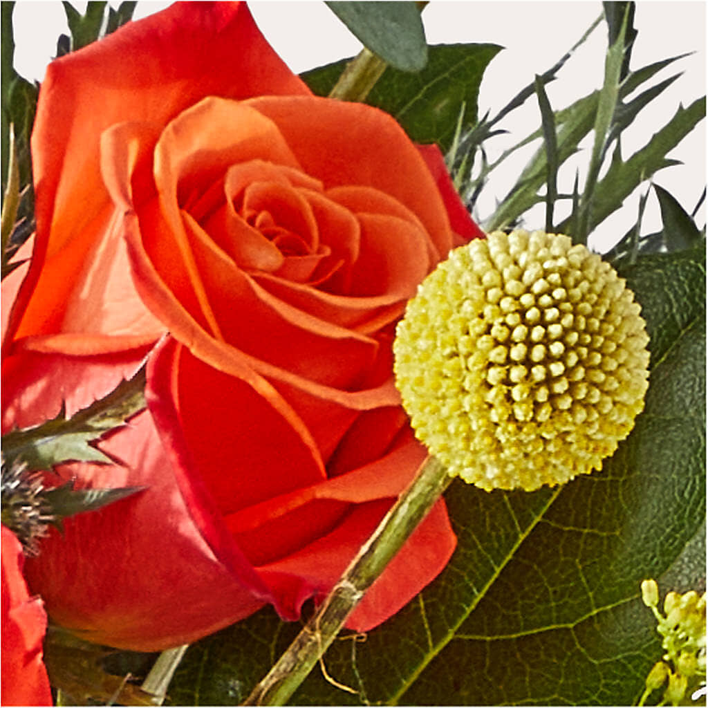 Disco Bouquet – BOOL'S FLOWER SHOP, Ithaca NY