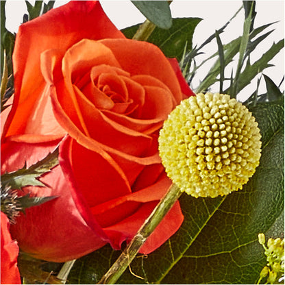 Disco Bouquet – BOOL'S FLOWER SHOP, Ithaca NY
